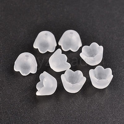Transparent Acrylic Beads Caps Y-PL543-1-1