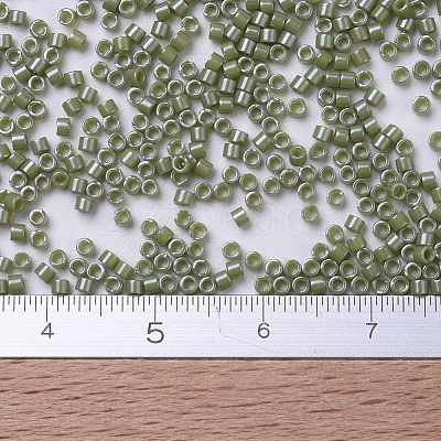 MIYUKI Delica Beads X-SEED-J020-DB0263-1