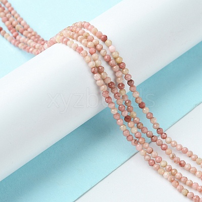 Natural Rhodonite Beads Strands G-F748-U01-01-1