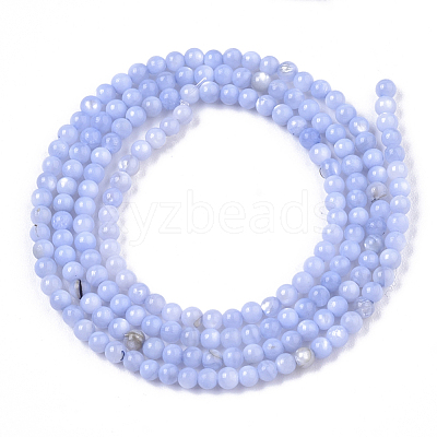 Natural Freshwater Shell Beads Strands X-BSHE-T009-01B-1