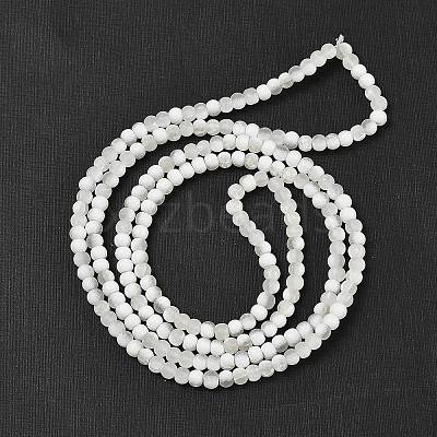 Frosted Crackle Glass Beads Strands GLAA-U001-4mm-M07-1