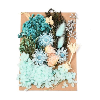 Dried Flower DIY-B018-07-1
