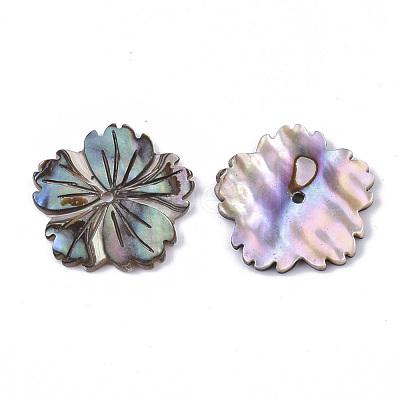 Natural Paua Shell/Abalone Shell Beads X-SSHEL-R046-02-1