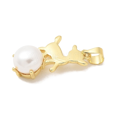 Rack Plating Brass Pendants KK-K293-24O-G-1