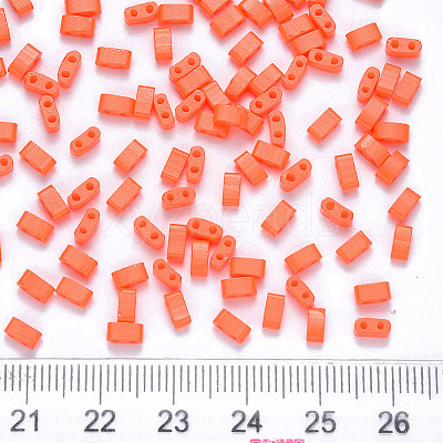 FGB 2-Hole Baking Paint Glass Seed Beads SEED-S031-M-406-1