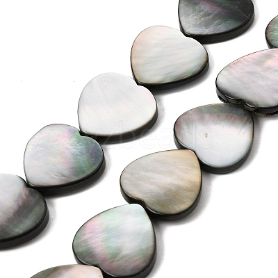 Natural Black Lip Shell Beads Strands BSHE-D300-06C-1