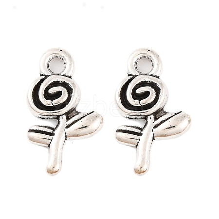Great Valentines Day Gift Ideas Tibetan Style Alloy Charms LF10736Y-1