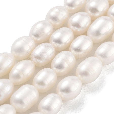 Natural Cultured Freshwater Pearl Beads Strands PEAR-P062-10J-1