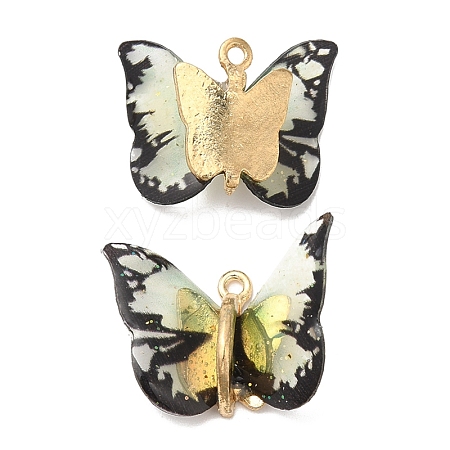 Transparent Resin Pendants PALLOY-K011-02G-01-1