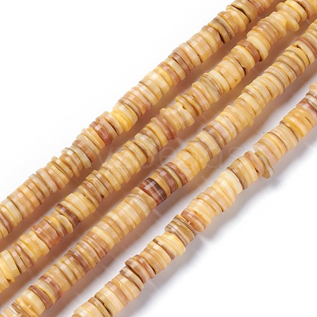 Natural Freshwater Shell Beads Strands X-BSHE-I016-04B-1