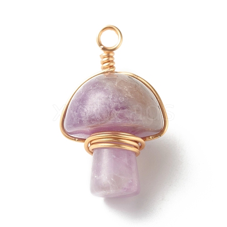 Natural Amethyst Pendants PALLOY-JF01134-05-1