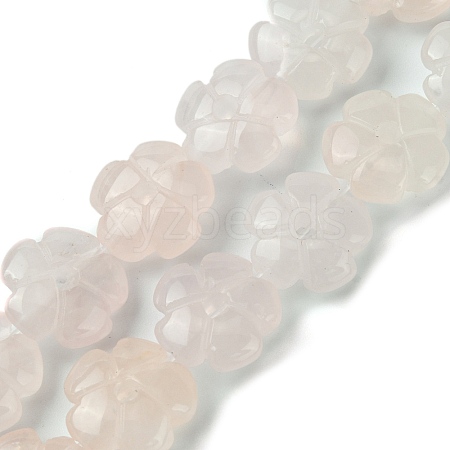 Natural Rose Quartz Beads Strands G-H023-B14-01-1