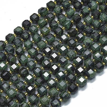 Natural Kambaba Jasper Beads Strands G-K389-A54-01-1