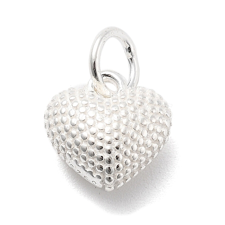 925 Sterling Silver Charms STER-S009-07A-S-1