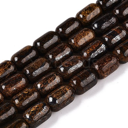 Natural Bronzite Beads Strands G-G980-42B-1