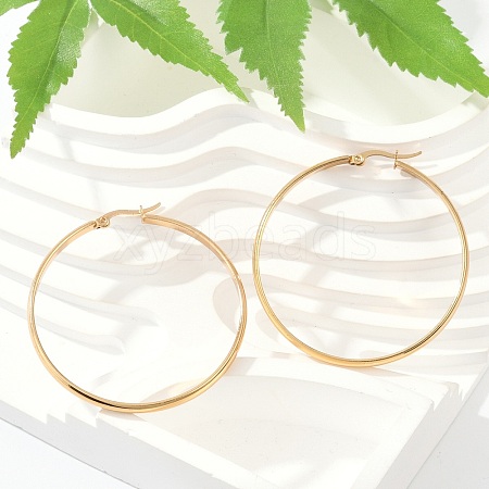 201 Stainless Steel Hoop Earrings EJEW-Q026-17G-D-1