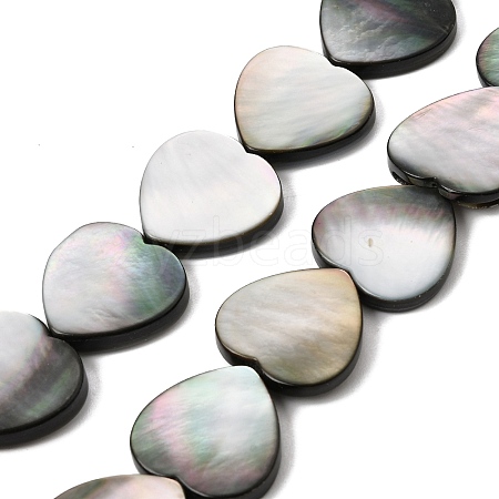 Natural Black Lip Shell Beads Strands BSHE-D300-06C-1