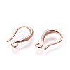 Brass Earring Hooks KK-L177-34-2