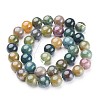 Natural Indian Agate Beads Strands X-GSR10mmC002-3