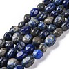 Natural Lapis Lazuli Beads Strands G-G146-A34-01-1