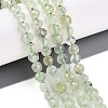 Natural Prehnite Beads Strands G-S345-6mm-28-2