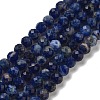 Natural Sodalite Beads Strands G-B088-C03-04-1