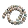 Natural Amazonite Beads Strands G-O164-02-12mm-5