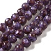 Freshwater Shell Beads Strands BSHE-L039-08A-01-1