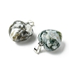 Natural Tree Agate Pendants G-F820-10A-29-2