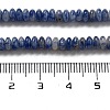 Natural Blue Spot Jasper Beads Strands G-K343-C18-01-5