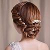6Pcs Iron Resin Hair Cormbs & 12Pcs Iron Resin Hair Forks for Women PHAR-OC0001-05-5