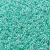 MIYUKI Round Rocailles Beads SEED-X0055-RR0536-3