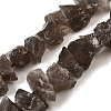 Natural Smoky Quartz Beads Strands G-I283-F13-2