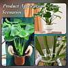 Acrylic Plant Supports FIND-WH0172-86B-6