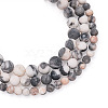 Yilisi 3 Strands 3 Style Natural Zebra Jasper Beads Strands G-YS0001-02-8