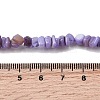 Natural Freshwater Shell Beads SHEL-B003-01L-4