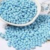 6/0 Opaque Baking Paint Glass Seed Beads SEED-M012-02A-13-1