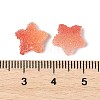 Imitation Candy Food Style Resin Cabochons X1-RESI-R461-02B-3