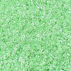 MIYUKI Delica Beads SEED-JP0008-DB0237-4