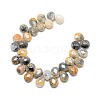 Natural Crazy Lace Agate Gemstone Beads Strands X-G-T006-10-2