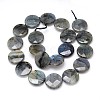 Natural Labradorite Bead Strands G-O099-04-B-3