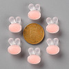 Transparent Acrylic Beads TACR-S152-12C-SS2109-3