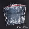 Plastic Zip Lock Bags OPP-G001-A-13x19cm-2