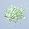 Plastic Candy Sequins/Paillette Chip DIY-I019-02C-2