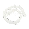 Transparent Glass Enamel Beads Strands GLAA-B021-05A-2