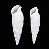 Natural Trochid Shell/Trochus Shell Beads SSHEL-N034-116-4