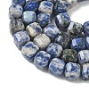 Natural Blue Spot Jasper Beads Strands G-C267-A20-4