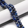 Natural Lapis Lazuli Beads Strands G-K380-A37-09-2