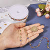 DIY Chain Bracelet Necklace Making Kit DIY-TA0006-08-13