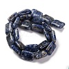 Natural Blue Spot Jasper Beads Strands G-T047-B10-01-3